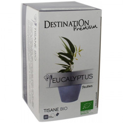 BIO bylinkový čaj eukalyptus
