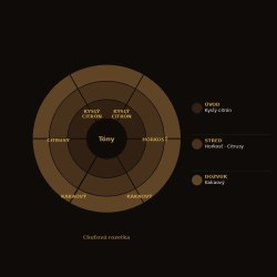 BIO a fair trade hořká čokoláda 73% Santo Dom… | Chocolates.sk